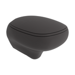 Bocchi Fenice Asma Klozet 53 cm Mat Antrasit