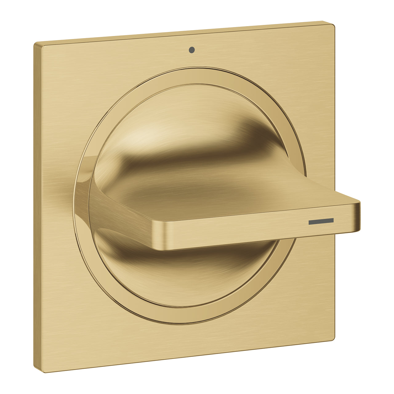 Grohe Allure Ankastre Stop Valf (Sıva Üstü Grubu), Fırçalı Altın